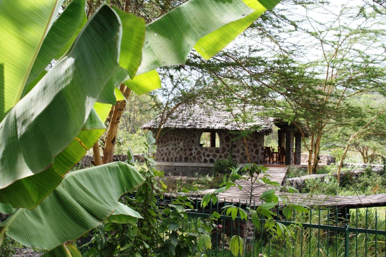 Kiboko Lodge Usa River Exterior foto